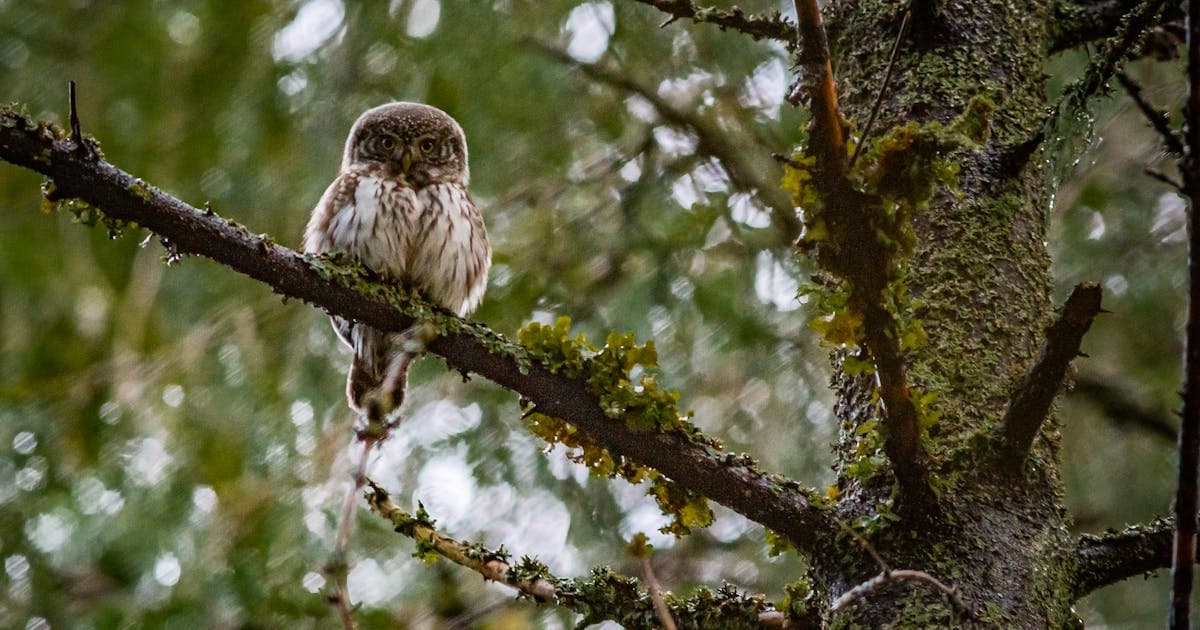 The No-Spreadsheet Guide to Tracking Event Attendance